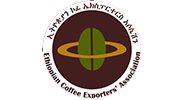 Ethiopia coffee exporters association